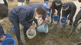 「大きくなって帰ってきてね」木戸川でサケの稚魚放流　不漁続き県外の卵もふ化　福島|TBS NEWS DIG