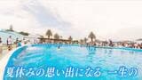 この夏行きたいおすすめスポット!島唯一の鉄板料理から発酵&醸造が主役の横丁、イルカ体験まで | 名古屋・愛知・岐阜・三重のニュース【CBC news】 | CBC web