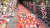 屋外では日本一の規模　豪華絢爛！ 118段の参道に約600体の雛人形＝静岡・東伊豆町　|　静岡のニュース | SBSNEWS | 静岡放送