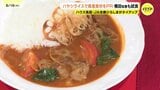 1年を通して地産地消を推進 広島県産野菜でつくったハヤシライスを横田知事が試食|TBS NEWS DIG
