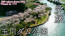 玉川ダム公園 愛媛県今治市 【JNN sakuraドローンDIG】|TBS NEWS DIG