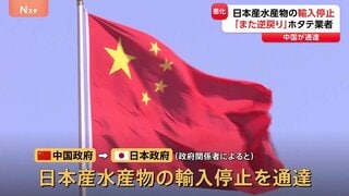 中国が日本産水産物の輸入停止を通達　北海道のホタテ業者「マイナスになってまた逆戻り」 2年ぶりに出荷再開したばかりで| TBS CROSS DIG with Bloomberg