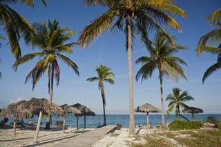 キューバでリゾート閉鎖、米の燃料阻止が直撃－観光業に深刻な影| TBS CROSS DIG with Bloomberg