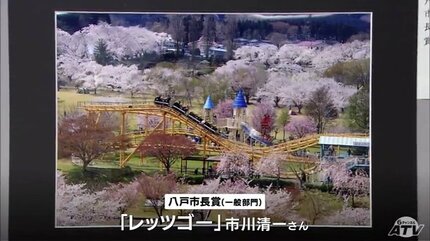 満開のサクラとジェットコースターや青い空に沈みゆく夕日など… 公園内
