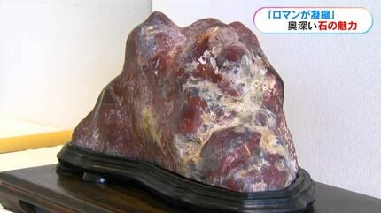 ロマンが詰まっている」石の知られざる魅力「鑑賞石展」鹿児島市で27日