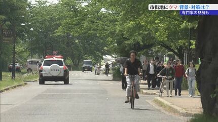 市街地でクマ出没相次ぐ 先日は岩手大学構内にも その背景と対策を専門