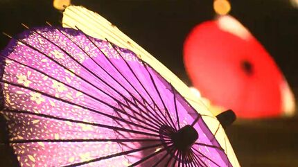 紅葉をライトアップとともに楽しんで」岡山後楽園の“秋の幻想庭園”試験