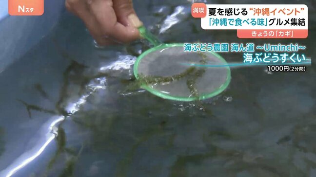 沖縄をまるごと体感 ソーキそばにサーターアンダギー、一風変わった『海ぶどうすくい』は「金魚よりすくいやすい」東京・池袋で物産展&ライブイベント開催|TBS NEWS DIG