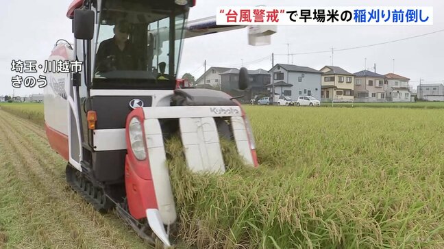 台風9号の影響考え一日早く　極早生品種「五百川」の収穫　埼玉・川越|TBS NEWS DIG