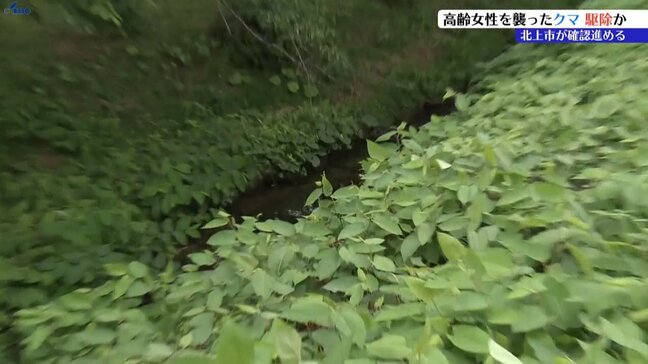 4日に女性が襲われて死亡した現場の付近でクマ1頭を駆除　しかしその後も別のクマ目撃があり注意呼びかけ　岩手・北上市|TBS NEWS DIG
