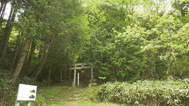 【続報】金華山（標高354メートル）を夫婦で登山　下山中に70代の妻が数メートル滑落し左下腿部を複雑骨折　防災ヘリで救助　鳥取県南部町|TBS NEWS DIG