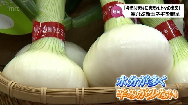 "サラダがおいしい"と評判　延岡市特産「空飛ぶ新玉ネギ」　出荷始まり市長に今年の出来を報告|TBS NEWS DIG