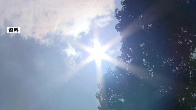 職場での熱中症で休業した人 “過去10年で最多” 年齢関係なく幅広い世代で発症|TBS NEWS DIG