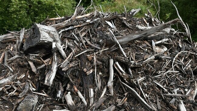 山火事、崩落の恐れも　山中に大量の木くずを不法投棄…数百トンに及ぶか　会社役員の男を逮捕（山形）|TBS NEWS DIG