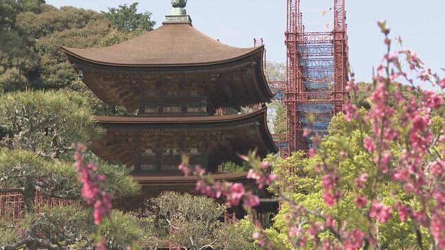 70年ぶりの大改修・・・瑠璃光寺五重塔 姿見え始める 山口|TBS NEWS DIG
