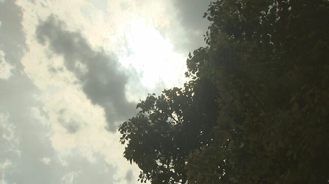 春の熱中症搬送相次ぐ「4月でも起こるのはまれではありません」…なぜ?夏とは違う発生の仕組み 防ぐポイントは「暑熱順化」|TBS NEWS DIG