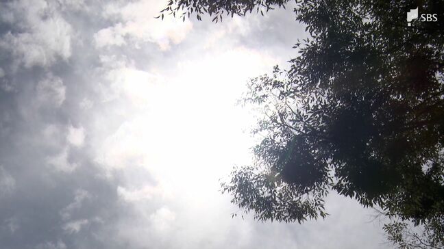 「なるべく暑い時間は家にいるようにして過ごしています」静岡市が5日連続の猛暑日に 知事も警戒呼びかけ|TBS NEWS DIG