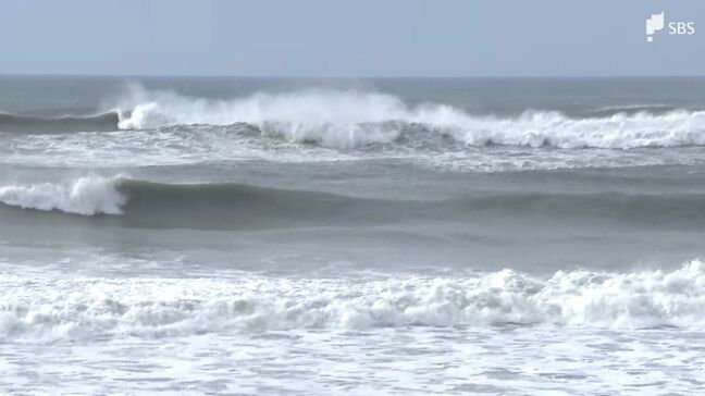 台風22号の影響 静岡県内も波の高い状況続く 気象台が高波や高潮に引き続き注意呼びかけ|TBS NEWS DIG