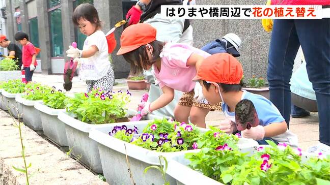 「はりまや橋」近くで花の植え替え　ペギー葉山さん歌碑のそばでマリーゴールドなど432ポッドが観光客を出迎える|TBS NEWS DIG