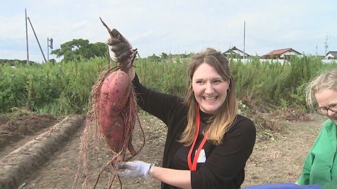 ドイツの青年団も参加…さつまいも収穫体験　ようやく秋の足音|TBS NEWS DIG