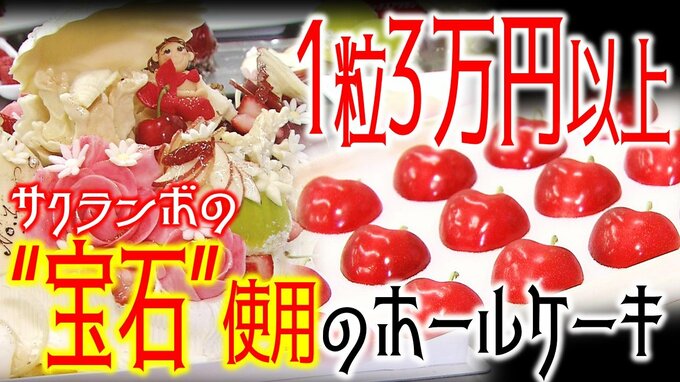 「ジュノハートは宝石」1粒3万円以上の“最高級サクランボ”を9粒も使用！　「青森ハートビート」使用のホールケーキとは？　限定45台！すでに11台が予約済！　|　青森のニュース│ATV NEWS│青森テレビ