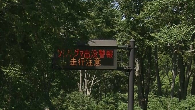【速報】6月にクマに襲われたとみられる男性遺体が見つかった八甲田　入山規制を7月末で解除へ　新たなクマ被害が確認されない場合延長せず　青森市|TBS NEWS DIG