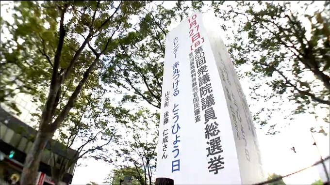 「1つの党に任せっきりにしたから今回のような不祥事が起こった」自民大敗の衆議院選挙結果受け　有権者からは厳しい声が　宮城|TBS NEWS DIG