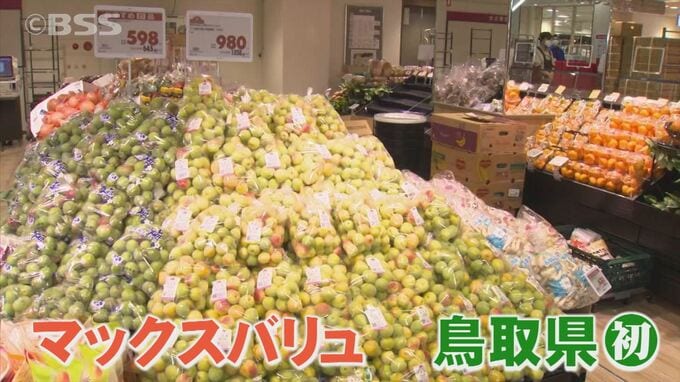 「マックスバリュ」が鳥取県に初出店！出店場所はデパ地下…にぎわい創出に期待　鳥取県米子市　|　BSSニュース | BSS山陰放送