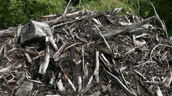 原野に大量の”木くず”を捨てる　会社役員の男を不法投棄で逮捕（山形・飯豊町）　|　山形のニュース│TUYテレビユー山形