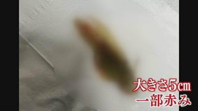「口に入れたら長ネギの食感が…」キムチにバッタか　5㎝ほどの昆虫が混入　製造会社は原因を調査　|　山梨のニュース | ＵＴＹテレビ山梨
