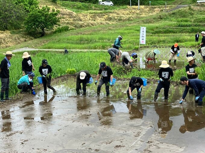 美しい田園風景を守る…つなぐ棚田遺産に認定「西谷棚田」で酒米の田植え　福島・二本松市|TBS NEWS DIG