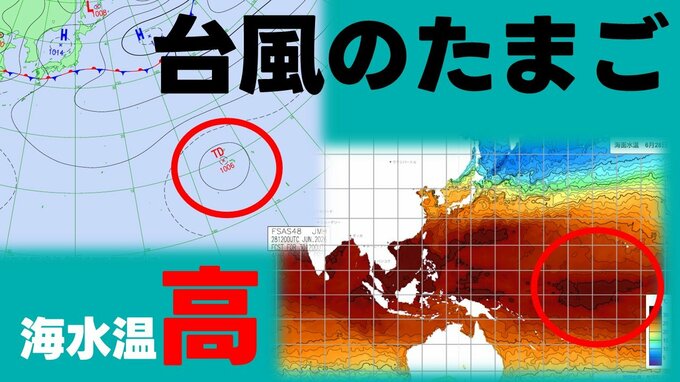 【台風のたまご】アジア太平洋域の予想天気図に“熱帯低気圧”が発生へ　周辺海水温は2〜3℃高い状態　これからの台風情報に注意を　|TBS NEWS DIG