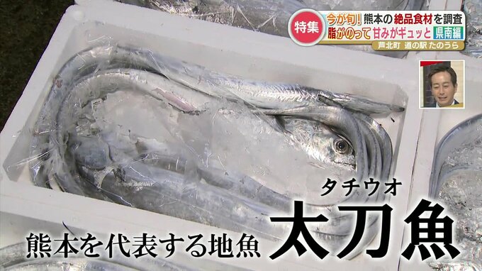 【珍しい旬グルメ】ブランド太刀魚・幻のエビ・青パパイヤ　天ぷらや丼で楽しむ美味しさがギュッと詰まった県南食材　熊本|TBS NEWS DIG