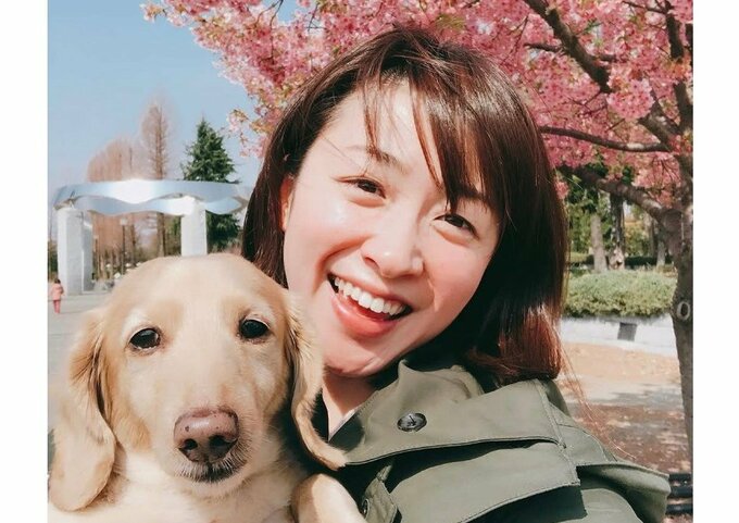 【 黛英里佳 】　愛犬との別れを報告　「先日春男さんが天国へ旅立ちました」　想い出は「犬ってこんなに笑うんだなぁ」　【 秘密のケンミンSHOW・東はるみ役 】|TBS NEWS DIG