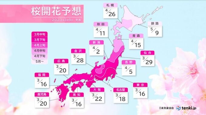 桜開花予想2023 トップは東京・高知・福岡で3月16日の予想 10日前後早く満開か（日本気象協会）|TBS NEWS DIG