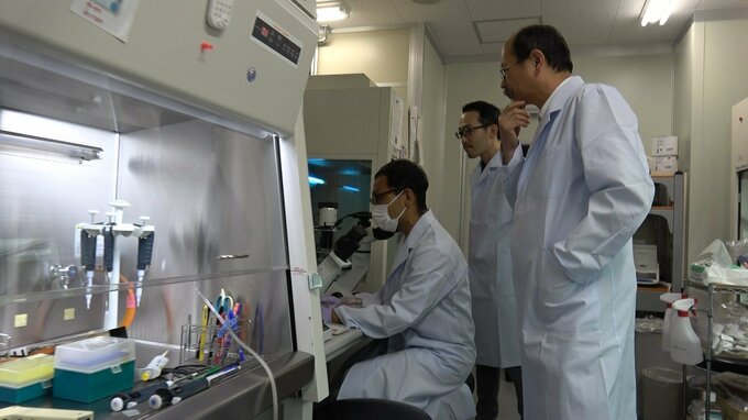 ウイルス感染症の治療用製剤の開発に世界で初めて成功　すべての感染症に対応する製剤開発に大きな一歩　京都大医生物学研|TBS NEWS DIG