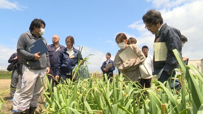 「種が命」高品質ニンニクの生産に向け　若手の生産者など対象とした研修会　　|　青森のニュース│ATV NEWS│青森テレビ