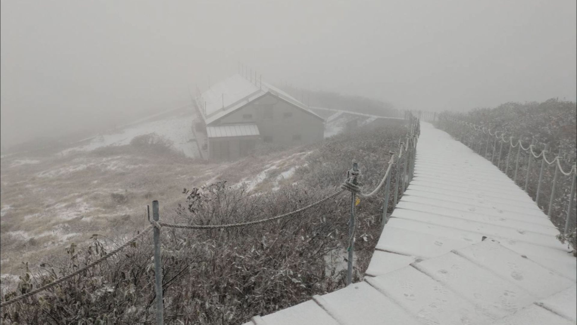 img_3ec117575bfc99dca505ed2321