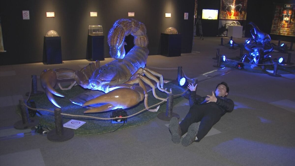 ヘラクレスにサソリ…「昆虫最強王図鑑展」に潜入！ TBS NEWS DIG