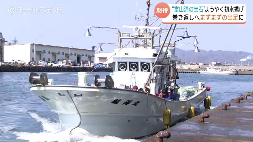 富山湾の宝石”シロエビようやく初水揚げ 悪天候で2日連続の休漁