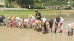 五穀豊穣を祈願し「お田植祭」 小学生や園児が早乙女姿で田植え 1つ1つ丁寧に＝静岡市葵区|TBS NEWS DIG