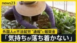 外国人の不法就労“通報”に報奨金 農業に従事するベトナム人は…「気持ちが落ち着かない」 社会に「分断」と指摘も【news23】|TBS NEWS DIG