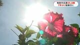 奄美市名瀬35度超　7年ぶりに猛暑日観測　今シーズン県内初　熱中症に警戒を　|　鹿児島のニュース｜MBC NEWS｜南日本放送