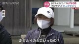 ホタルイカ解禁9日目はわずか3匹　売らずに神棚に供え…祈るしかない　ホタルイカどこいったの？　　|　富山のニュース｜天気・防災｜チューリップテレビ