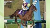 岩手競馬所属のフォースメン、JpnI・東京ダービーに出走決まる　7日、枠順が6枠11番で確定|TBS NEWS DIG