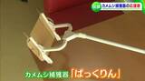 大量発生中のカメムシを捕獲する便利グッズ「ぱっくりん」開発者は「同じように困っている方のお役に立ててよかった」|TBS NEWS DIG
