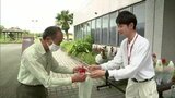 「都市緑化月間」 宮崎市で花の苗を無料配布|TBS NEWS DIG