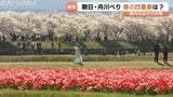 “春の四重奏” 雪の北アルプス背景に桜並木、菜の花、そしてチューリップ　舟川べり彩る絶景　富山・朝日町　|　富山のニュース｜天気・防災｜チューリップテレビ