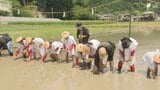 五穀豊穣を祈願し「お田植祭」 小学生や園児が早乙女姿で田植え 1つ1つ丁寧に＝静岡市葵区|TBS NEWS DIG