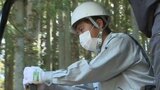 「植林って楽しそう」高校生 インターンシップで林業体験　山口|TBS NEWS DIG